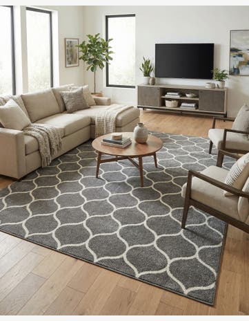 10' x 14' Trellis Frieze Rug