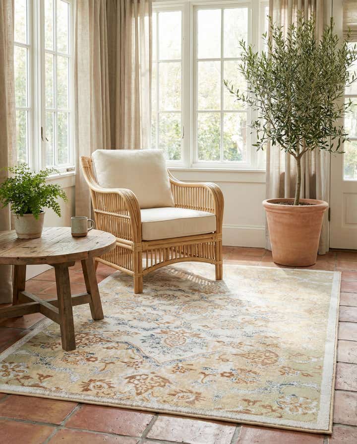 3' 3 x 5' 3 Highbury Rug