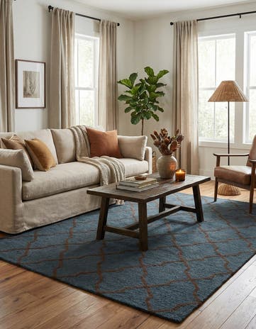 5' x 7' 11 Luna Rug