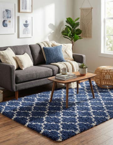 4' x 6' Moroccan Shag Rug