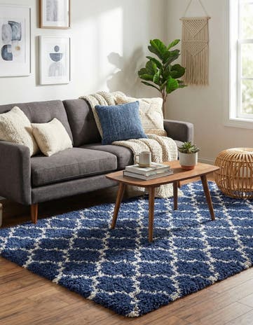 4' x 6' Moroccan Shag Rug