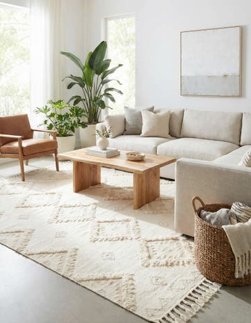 10' x 13' 1 Hand Woven Arizona Wool Rug