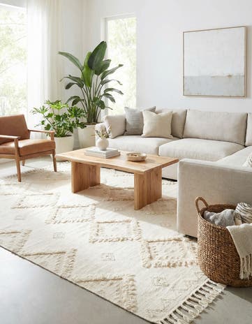 10' x 13' 1 Hand Woven Arizona Wool Rug