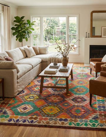 6' 7 x 10' 2 Hand Knotted Darya Wool Rug