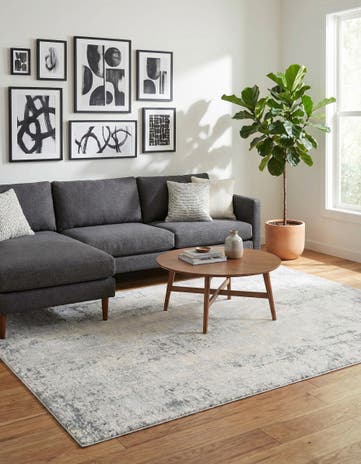 Gray Caspian Rug