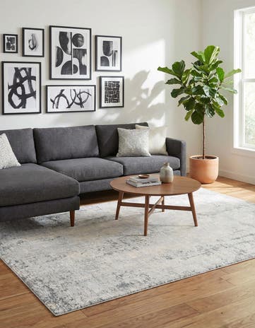 Gray Caspian Rug