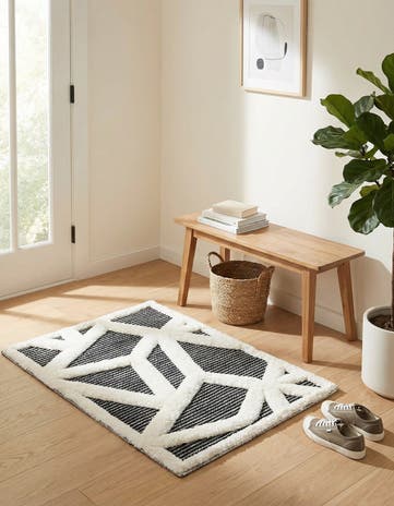 2' x 3' Prismatic Rug