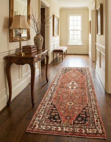 3' 3 x 9' 6 Hamedan Runner Rug