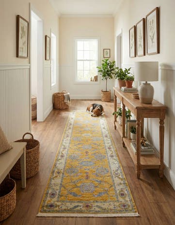 2' 7 x 12' Paragon Runner Rug