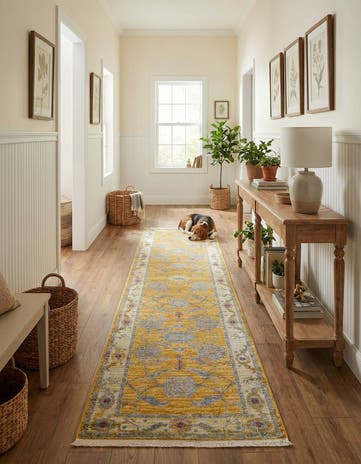 2' 7 x 12' Paragon Runner Rug