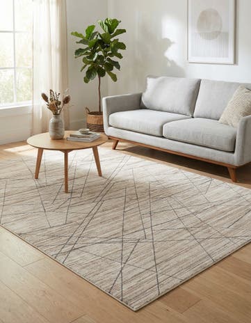 5' x 8' Silta Rug