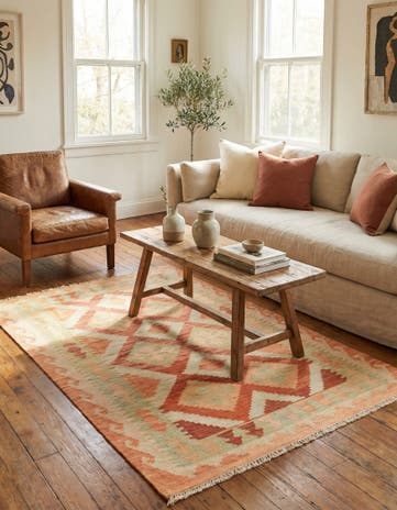 2' 9 x 4' 2 Hand Woven Kilim Waziri Wool Rug