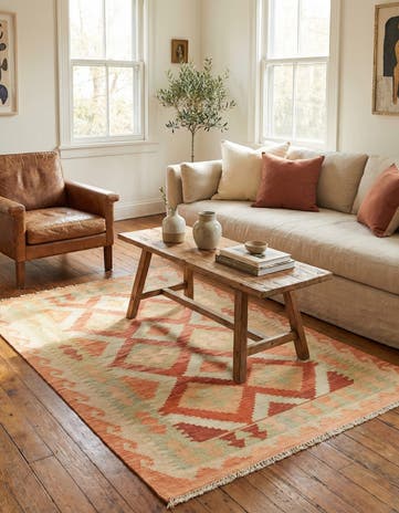 2' 9 x 4' 2 Hand Woven Kilim Waziri Wool Rug