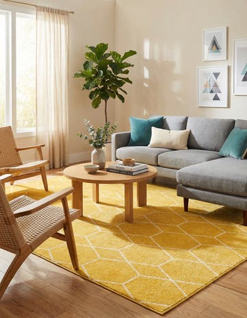 10' x 13' Lattice Frieze Rug