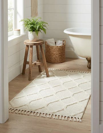 2' x 3' Boho Rug