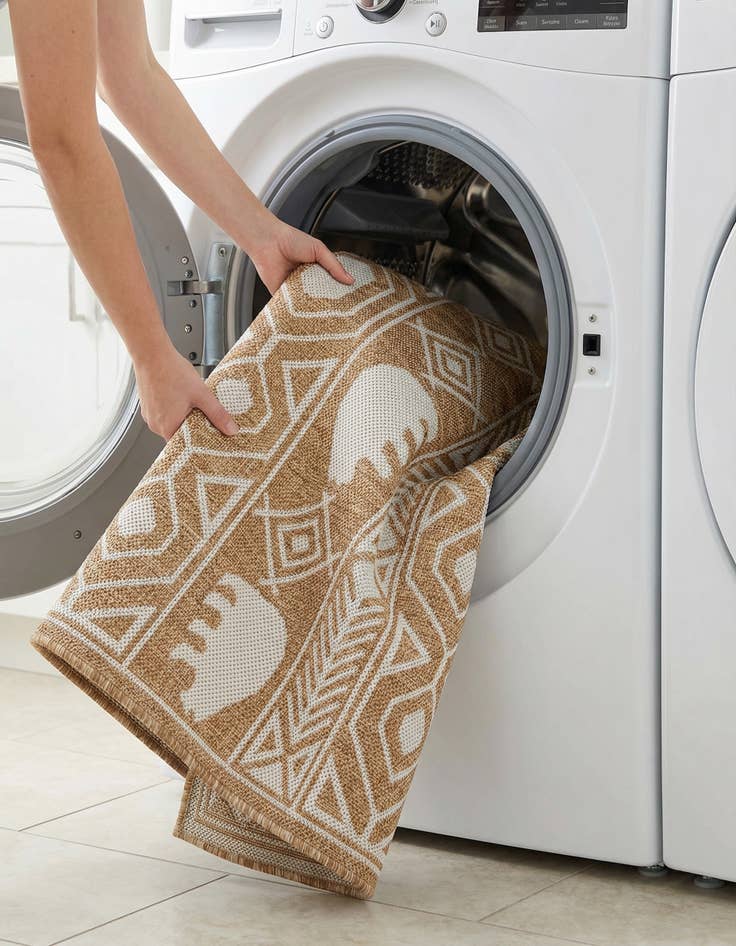 Detail image of  4' x 6'  Washable Southwestern Indoor / Outdoor Rug