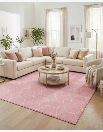 10' x 13' Trellis Frieze Rug