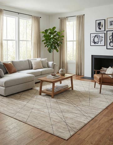 10' x 14' Silta Rug