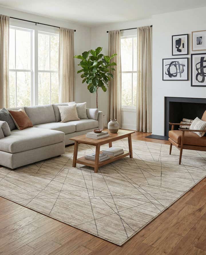 10' x 14' Silta Rug