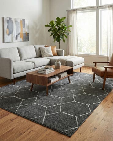  9' x 12' Lattice Frieze Rug