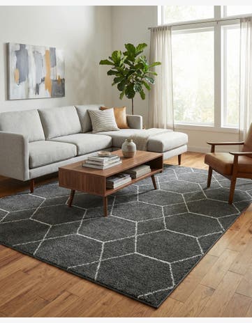 9' x 12' Trellis Frieze Rug