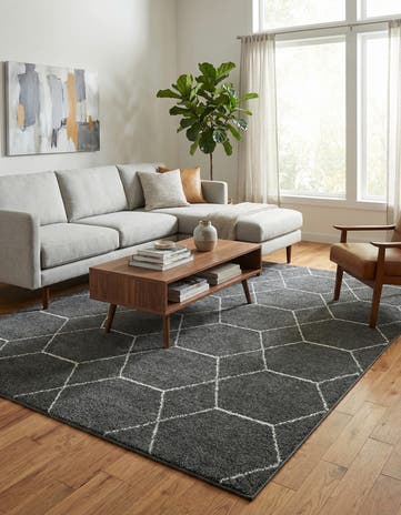 9' x 12' Lattice Frieze Rug