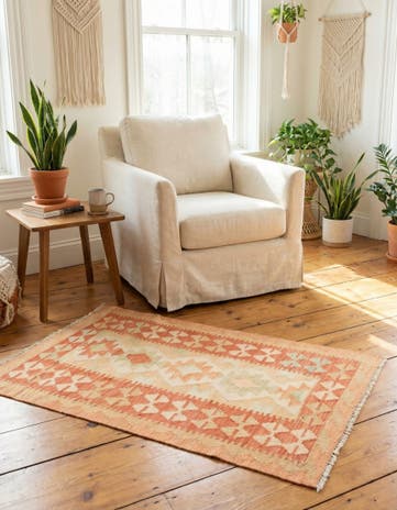 2' 6 x 4' 3 Hand Woven Kilim Waziri Wool Rug