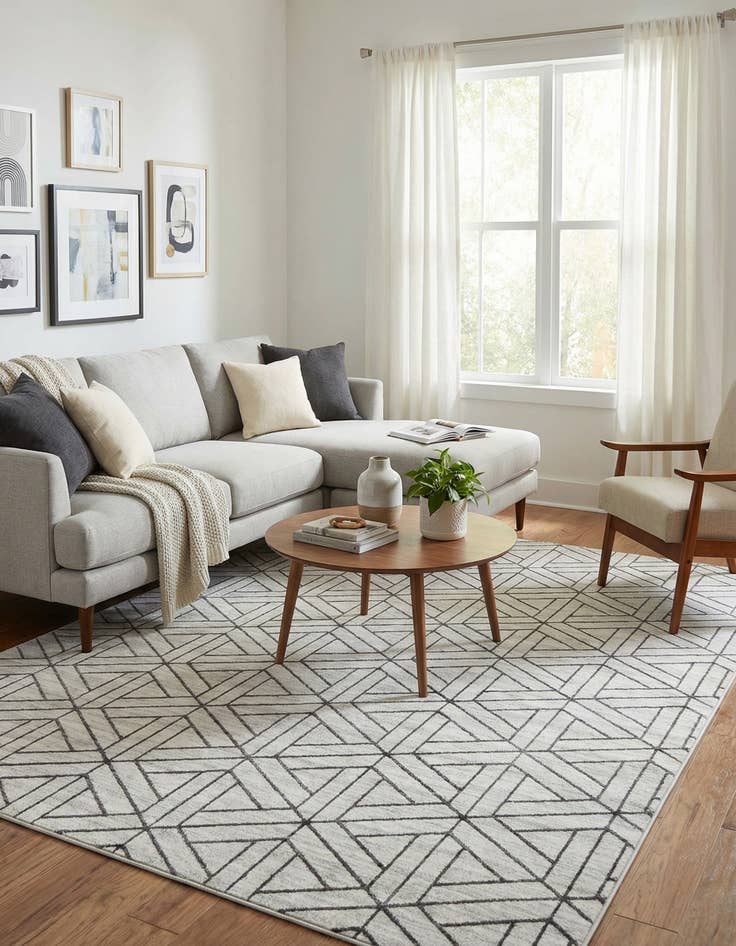 Detail image of  7' 10 x 11' Lattice Trellis Rug