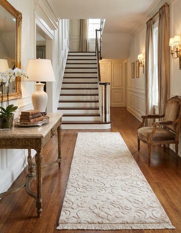 2' 7 x 9' 11 Darya Runner Rug