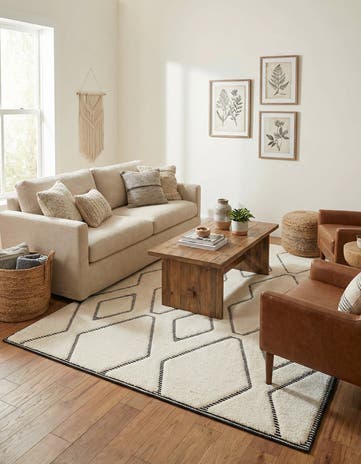 5' 3 x 8' Prismatic Rug