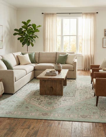 10' x 14' Whitney Rug