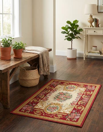 2' x 3' Easy-Clean Traditional Indoor / Outdoor Rug