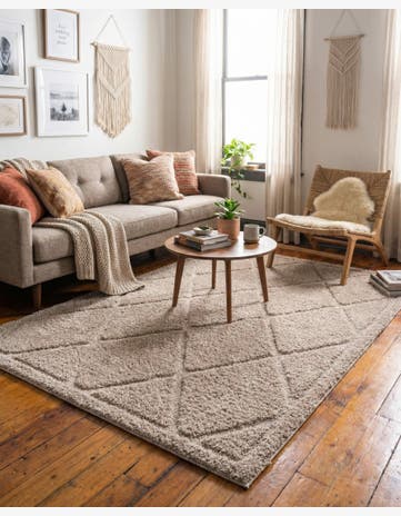 4' x 6' Trellis Shag Rug