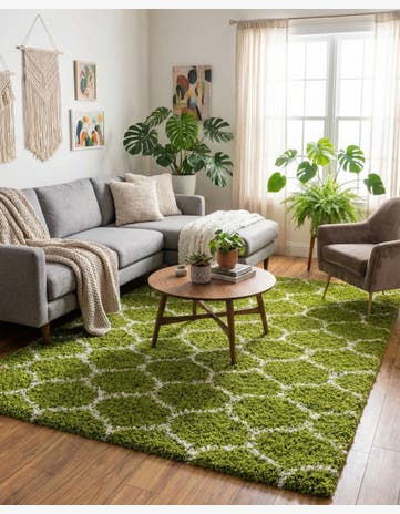 9' x 12' Trellis Shag Rug