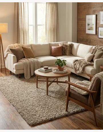 7' x 10' Solid Shag Rug