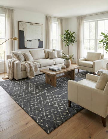 10' x 13' Paxon Trellis Rug
