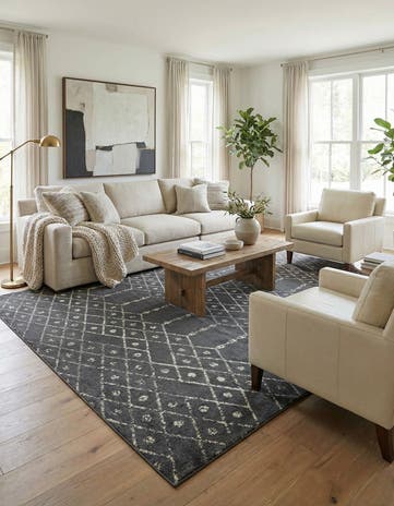10' x 13' Paxon Trellis Rug