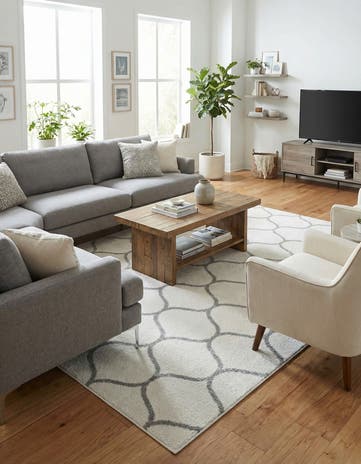 9' x 12' Lattice Frieze Rug