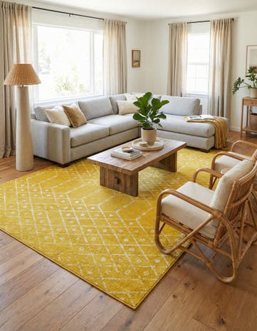 10' x 14' Paxon Trellis Rug