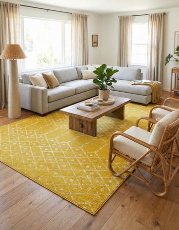 10' x 14' Paxon Trellis Rug