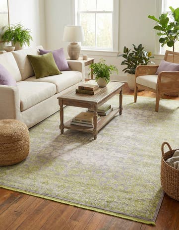 7' x 10' Modern Classical Rug