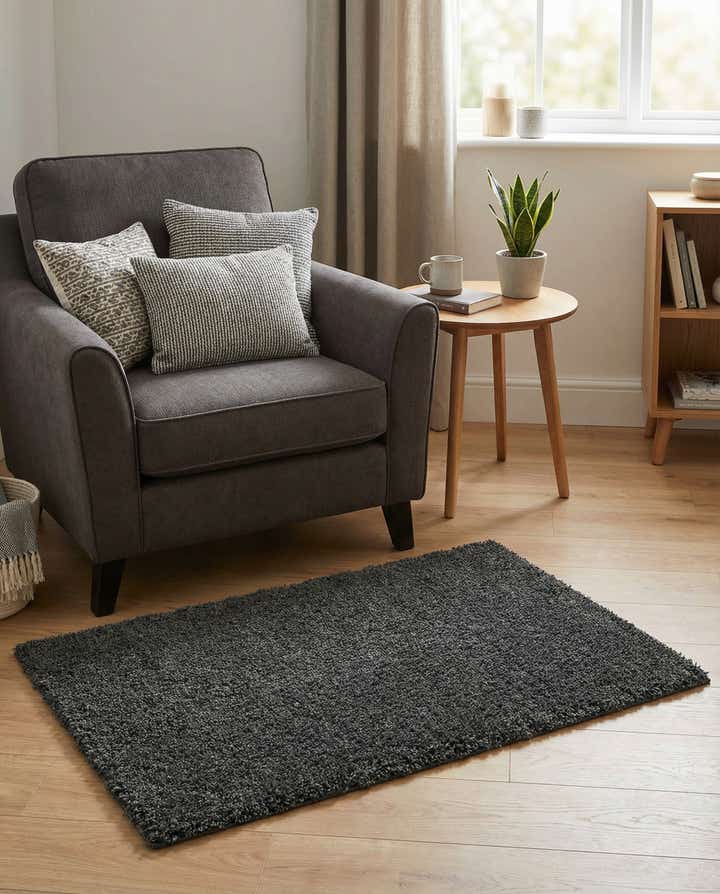 2' x 3' Zermatt Shag Rug