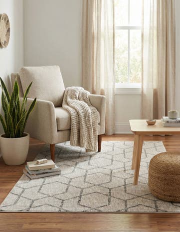 4' x 6' Eco Trellis Rug
