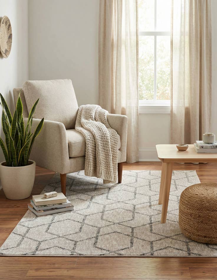 Detail image of 4' x 6' Eco Trellis Rug