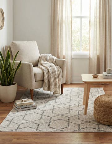 4' x 6' Eco Trellis Rug