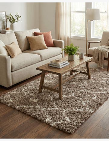 5' x 8' Infinity Shag Rug