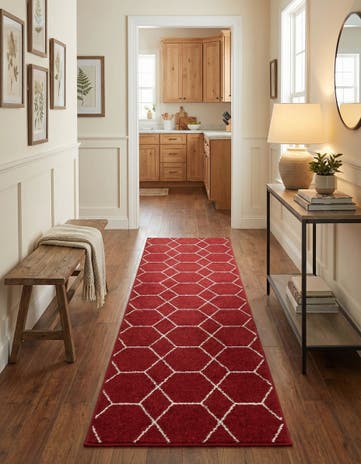 2' x 9' Lattice Frieze Runner Rug