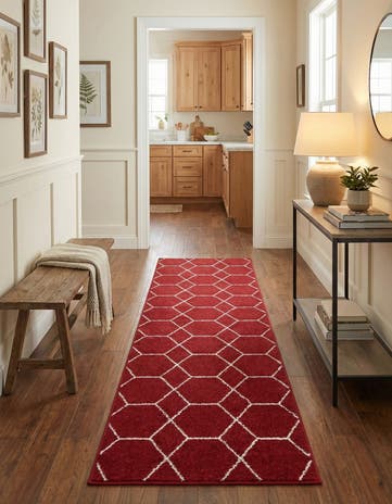 2' x 9' Lattice Frieze Runner Rug