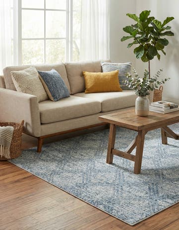 4' x 6' Kamala Washable Rug