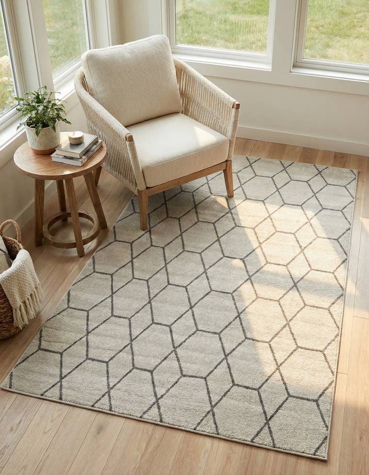Detail image of 4' x 6' Trellis Frieze Rug